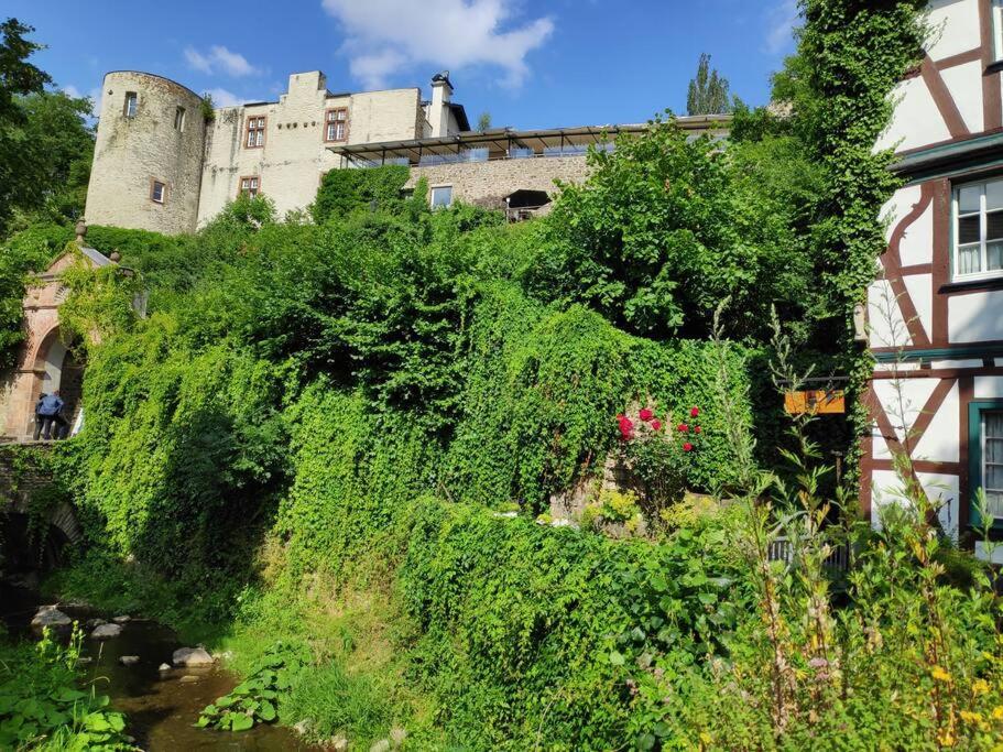 Das Hideaway Zum Seele Baumeln Lassen ! Bad Muenstereifel Buitenkant foto