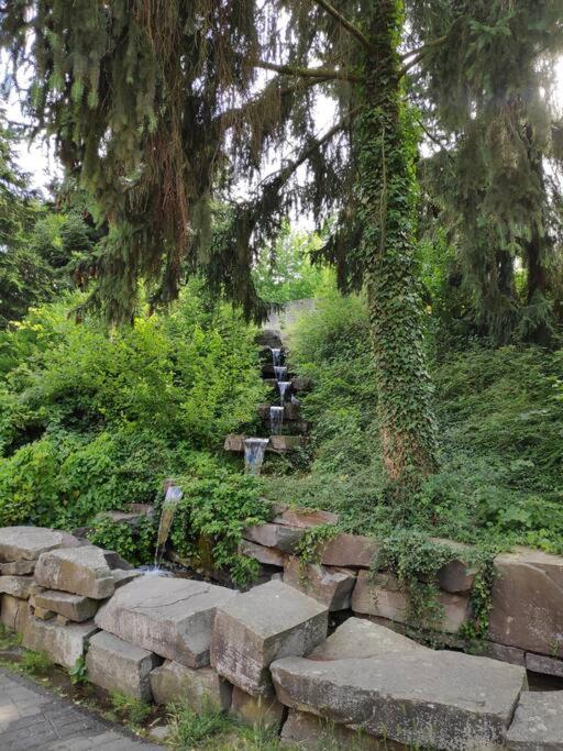 Das Hideaway Zum Seele Baumeln Lassen ! Bad Muenstereifel Buitenkant foto